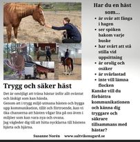 Säker häst. Kurs i hantering & kommunikation 21/5