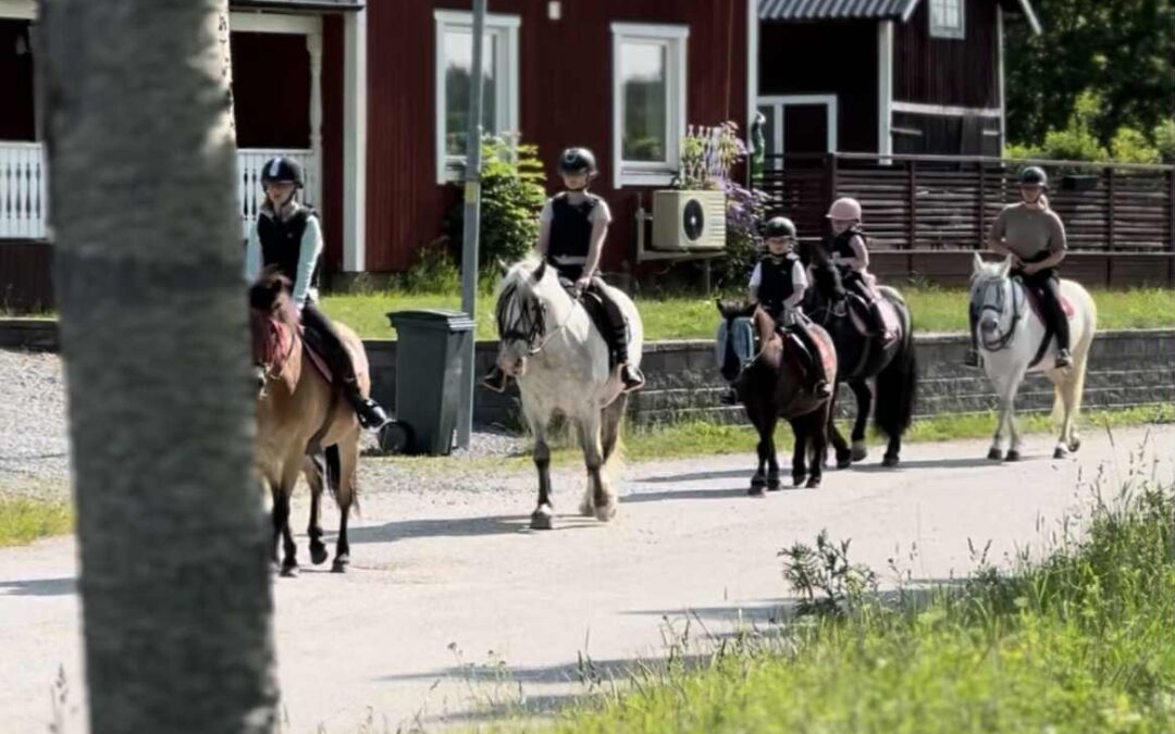 Nybörjargrupp för barn mellan 10-13 år